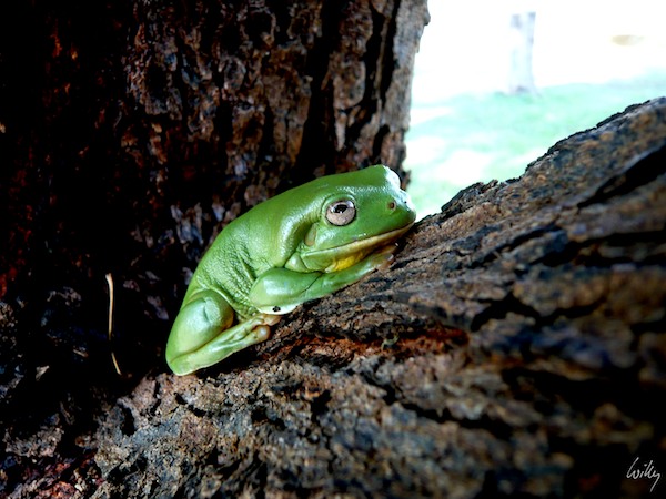 AustraliaPerth 10  171